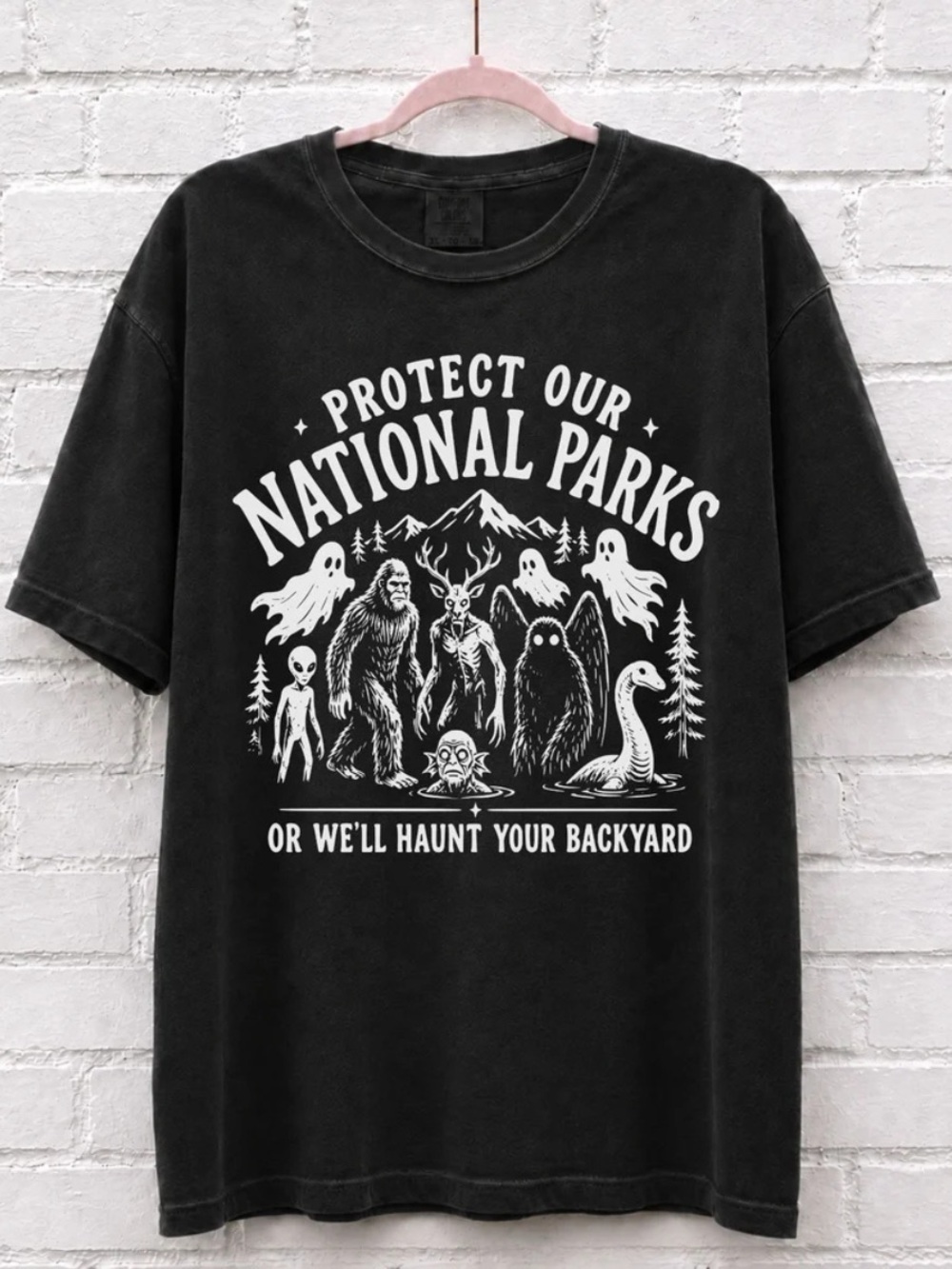 Black Comfort 'Protect Our National Parks' Graphic Tee - Unbranded Illustration